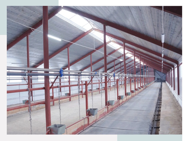 Строительство коровников в Одинцове от 621 руб.