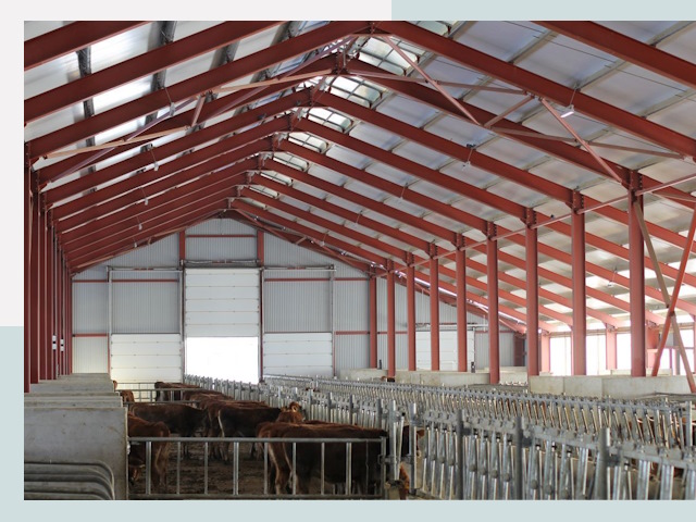 Строительство коровников в Одинцове