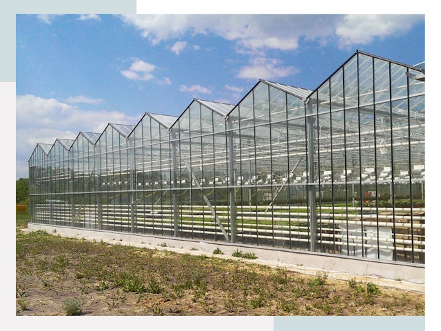 Строительство теплиц в Одинцово от 621 руб. за м²