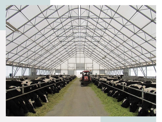 Тентовые коровники в Одинцове от 621 руб. - Надежно и доступно