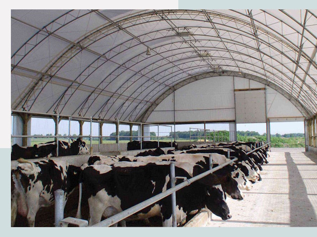 Тентовые коровники в Одинцове